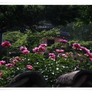 녹수청산 이미지