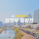 장암동아파트 ~ 동막교 | 의정부 벚꽃 만개한 중랑천에서 한마음걷기대회 참가