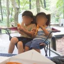 한철 | 서귀포시 남원 쫄깃함이 남다른 대파꽈배기 맛집 백한철꽈배기 내돈내산 후기