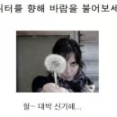 쓩 이미지