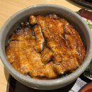 와 | 시청역 일식 점심 맛집 타와 히츠마부시 장어덮밥 후기