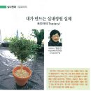 [월간원예 2012.03] 내가 만드는 실내정원 이미지