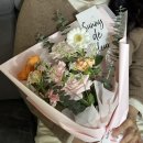 sunny+(써니플러스) 이미지