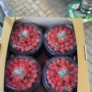 부산 서면 과일 맛집 부전시장 달손(총각과일) 내돈내산 후기