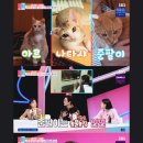 이장원농장 이미지