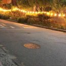 saury007 애견호텔 이미지