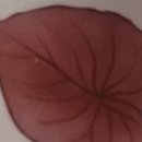 광야농장 이미지