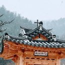 수원-1846 Daum카페