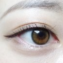 오렌즈 하남미사역점 | [하남] 미사 렌즈 오렌즈 하남미사역점 - 비비링 브라운 원데이 후기