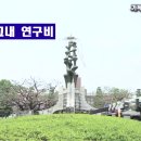 2022.07.26(E) : 가독성이 좋은 기본자막 이미지