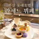 럭셔리에비뉴동부산 | 부산 롯데호텔 라세느 가족모임으로 다녀온 서면 호텔뷔페 평일 런치 후기