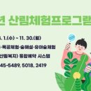 통합예술치유 프로그램 이미지