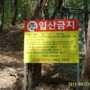 충효재동 Daum카페