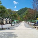 무흘구곡펜션야영장