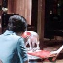 연흥극장 이미지