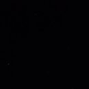 삼화리 동광 캠핑장 이미지