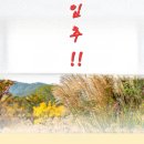 오늘이 입추 인가요.? 이미지