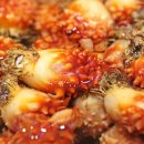 풍어영어조합법인
