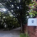 서울 목동 감성꽃집 배은설플라워 항아리꽃다발 클래스 후기