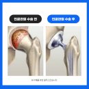 울산에스동물메디컬센터 이미지