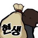 버디투어 - 중구 세종대로20길 23 | 버디투어