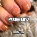 GS25 가수원계룡점 | 대전 관저동네일 추천｜니트젤 신상 예쁜 두두달네일 후기