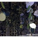 라이스앤파스타 이미지