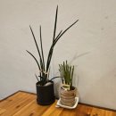 가득드림2호점 이미지