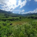 이병기 농장 이미지