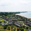 더 마을 핑크 이미지