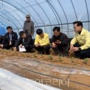 OK아시아마트 이미지