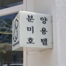 퍼피스캔들 네이버블로그