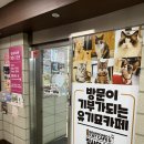 집사의하루 노원점 이미지