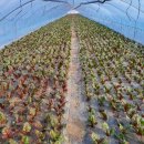 식자재도매유통 이미지