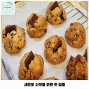 땡글이네 | 고잔동 애견카페 땡글이네 가격 및 후기 추천 리뷰 주차 예약 알아볼까요