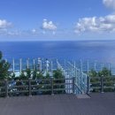 태하모노레일 이미지