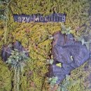 레이지모닝 | 예스 키즈존, 빵이 맛있는 '레이지 모닝' 내돈내산 후기