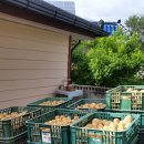 영주 매운탕 이미지