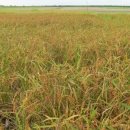 무량농장 이미지