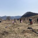 충주 하천 충북일보