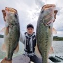 양촌목장 이미지