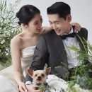 반호스튜디오 이미지