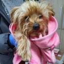 산양초등학교 사거리(산양초) 이미지