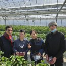 무열농장 이미지