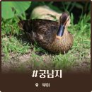 부여서울 | 서울 근교 당일치기 여행 추천 부여 궁남지 연꽃 가득한 산책 코스와 솔직 후기