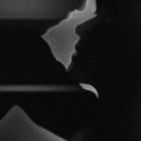 신초류향 이미지