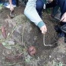 본동초등학교 이미지