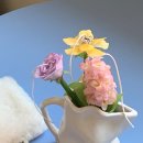 (원데이)히아시스 플라워 캔들 이미지