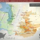 (주)빈야드 트레이딩 | [와인21] 워싱턴 와인 중급반 후기