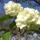 하나농장B 이미지